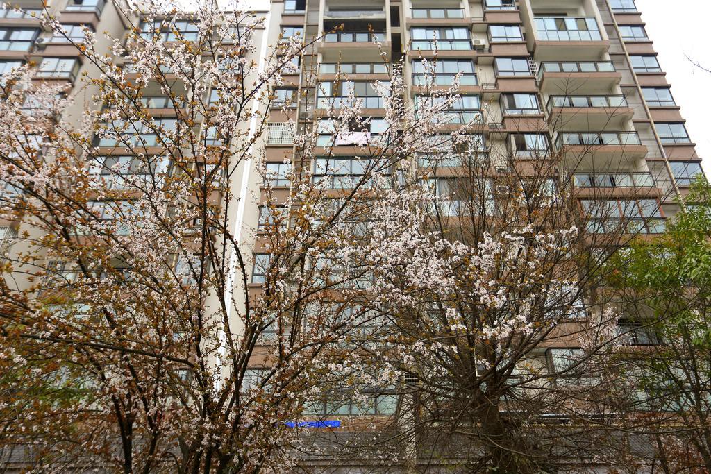Midsummer Homestay Zhangjiajie Εξωτερικό φωτογραφία
